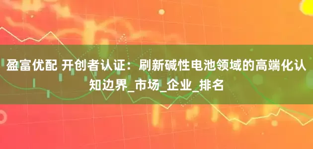 盈富优配 开创者认证：刷新碱性电池领域的高端化认知边界_市场_企业_排名