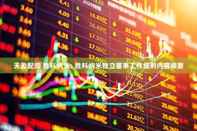 天盈配资 胜科纳米: 胜科纳米独立董事工作细则内容摘要