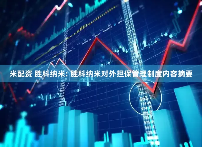 米配资 胜科纳米: 胜科纳米对外担保管理制度内容摘要