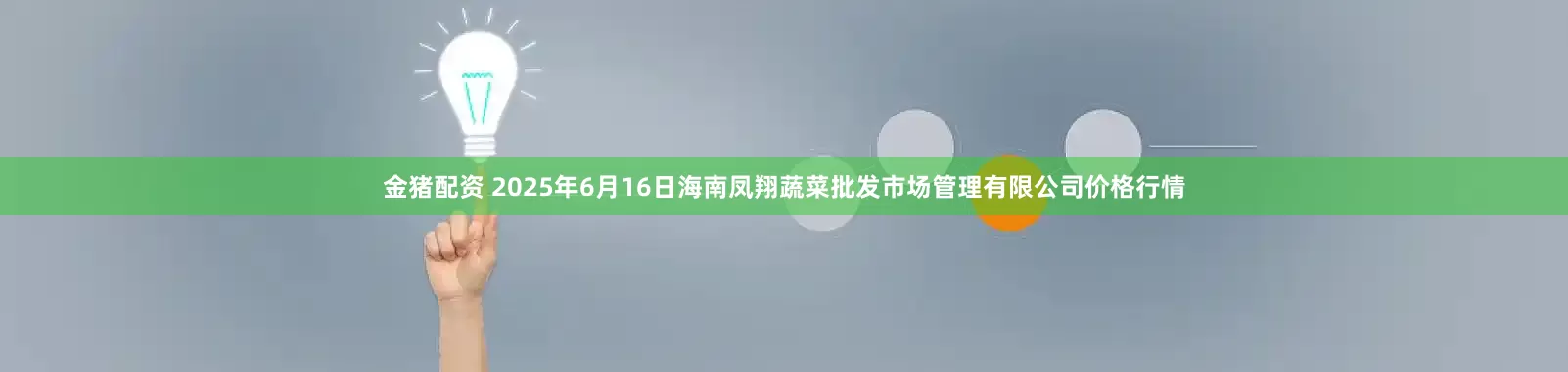 金猪配资 2025年6月16日海南凤翔蔬菜批发市场管理有限公司价格行情