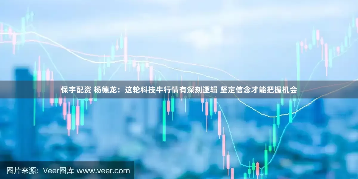 保宇配资 杨德龙：这轮科技牛行情有深刻逻辑 坚定信念才能把握机会