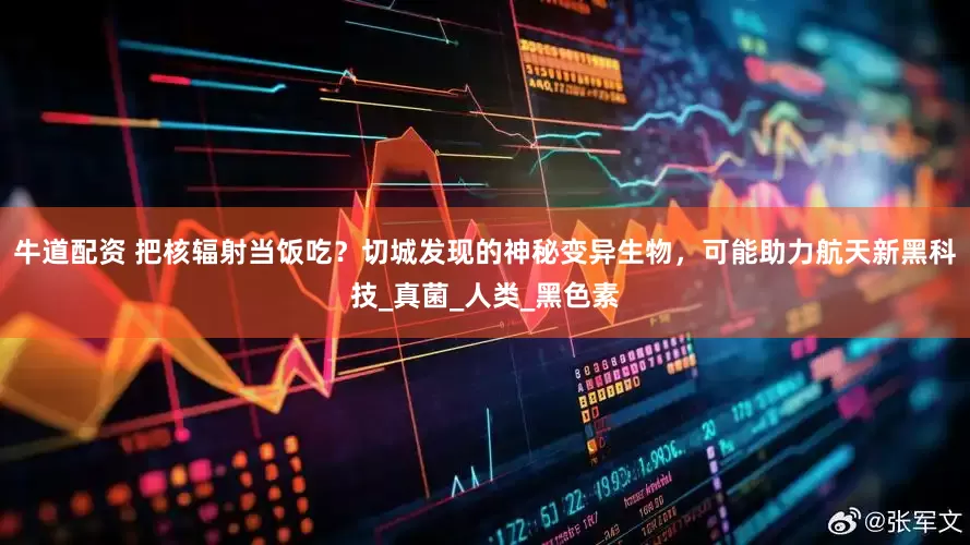 牛道配资 把核辐射当饭吃？切城发现的神秘变异生物，可能助力航天新黑科技_真菌_人类_黑色素